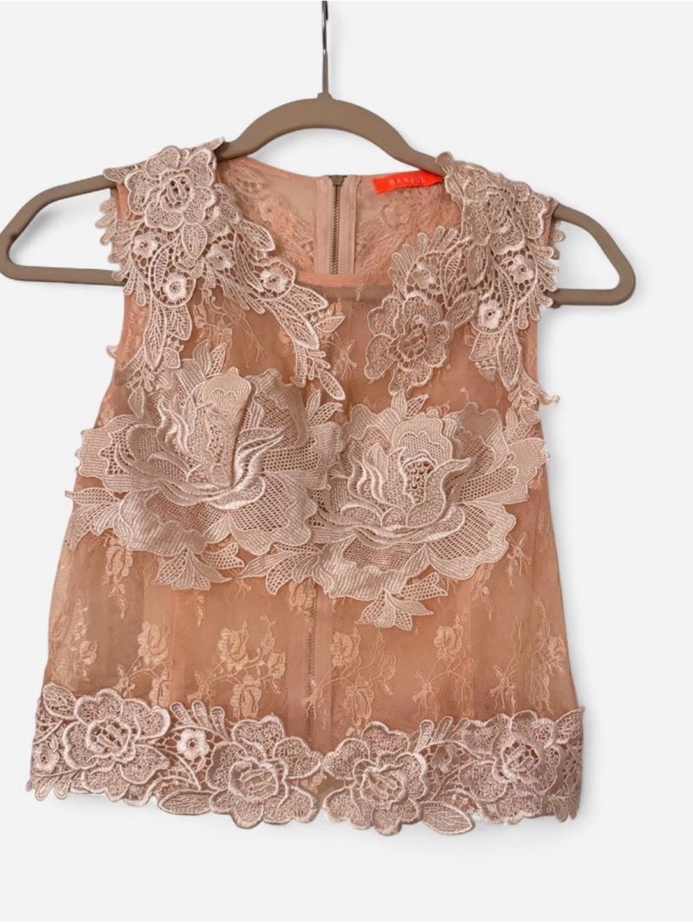 Banjul Blush Pink Sheer Lace 3D Floral Appliqué Top